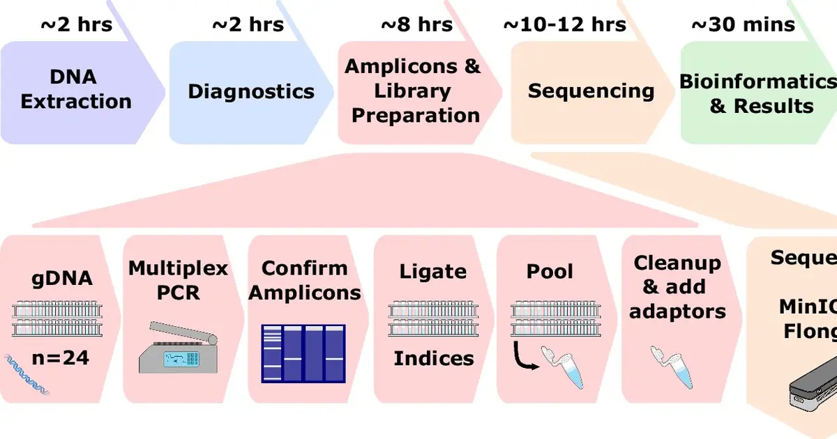 New genomic method to track disease outbreaks globally