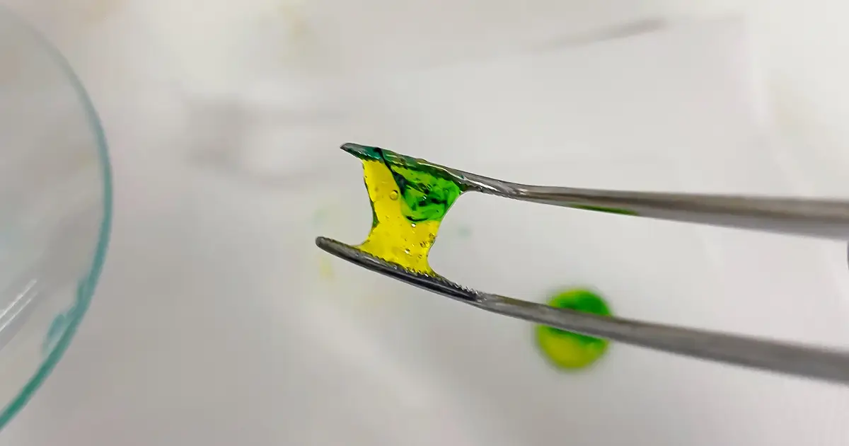 Hydrogel platform uses vitamin B2 and blue light to simplify living tissue models
