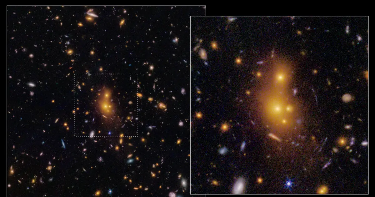 New JWST images of abnormally well-developed galaxy cluster open up the 'cosmic noon' frontier