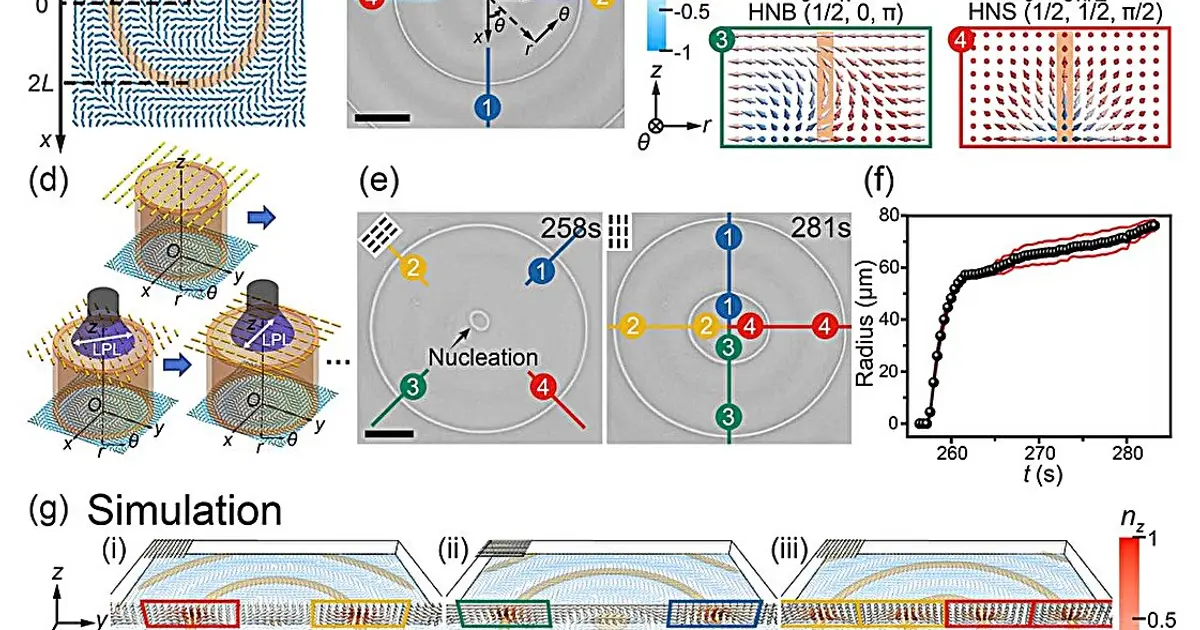 Twisted liquid-crystal structures unlock on-demand skyrmions at room temperature