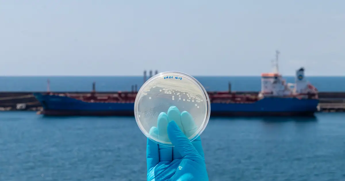 New platform creates digital map for marine biobanks