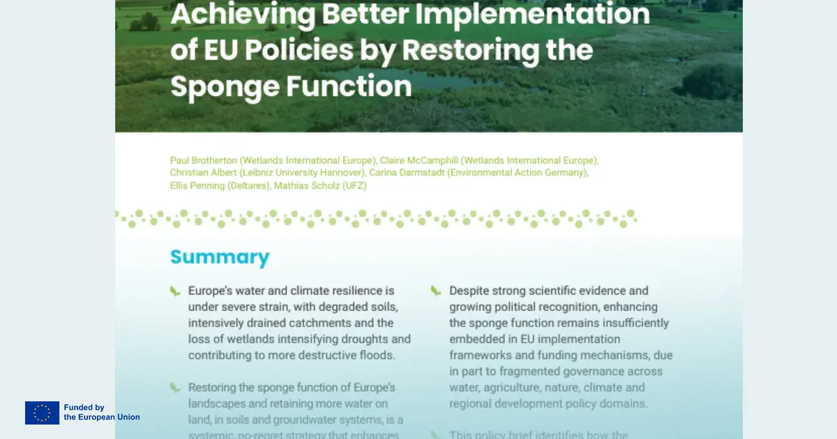 New policy brief outlines how EU policies can better support sponge restoration