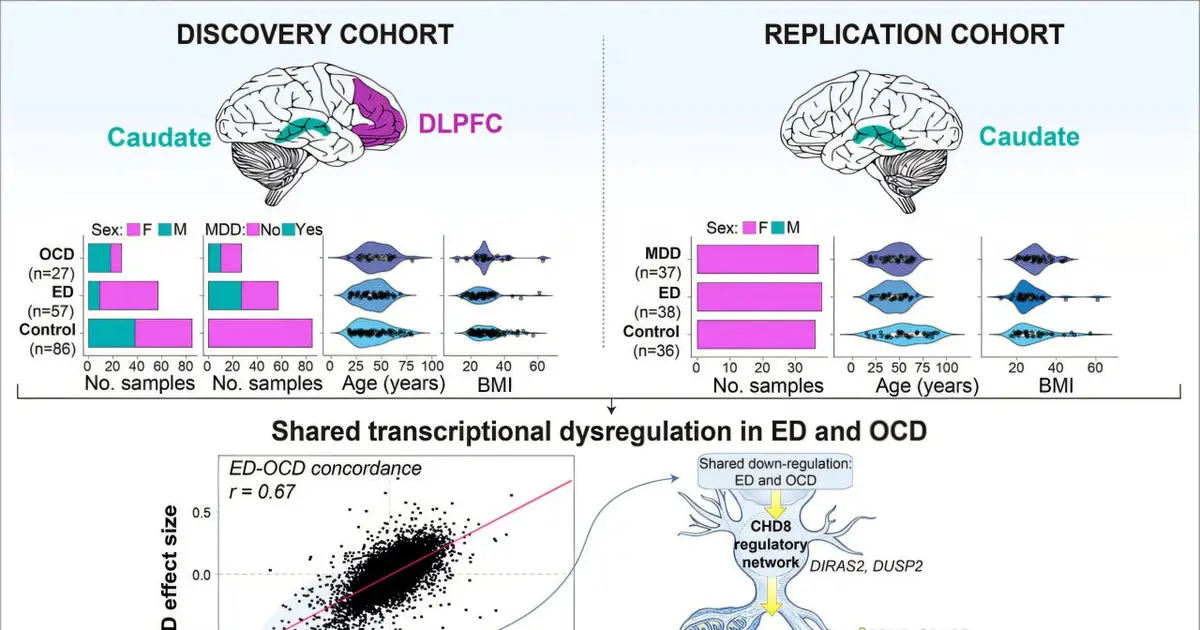 Eating disorders and obsessive-compulsive disorder show shared brain gene expression changes