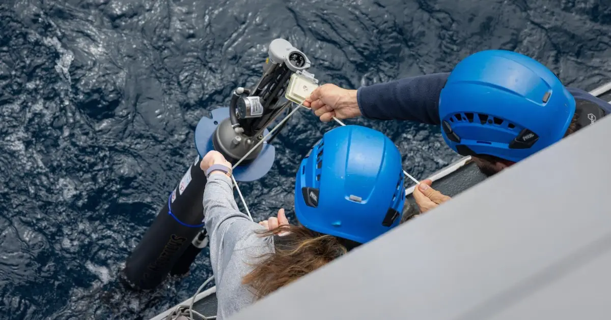 Argo Program's floats sustain global ocean health tracking, according to experts