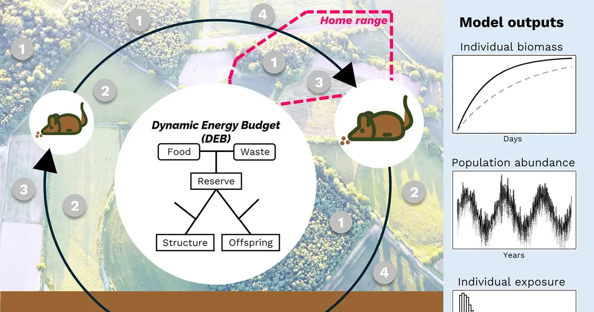 Spatially explicit population model can improve pesticide risk assessments in agricultural landscapes