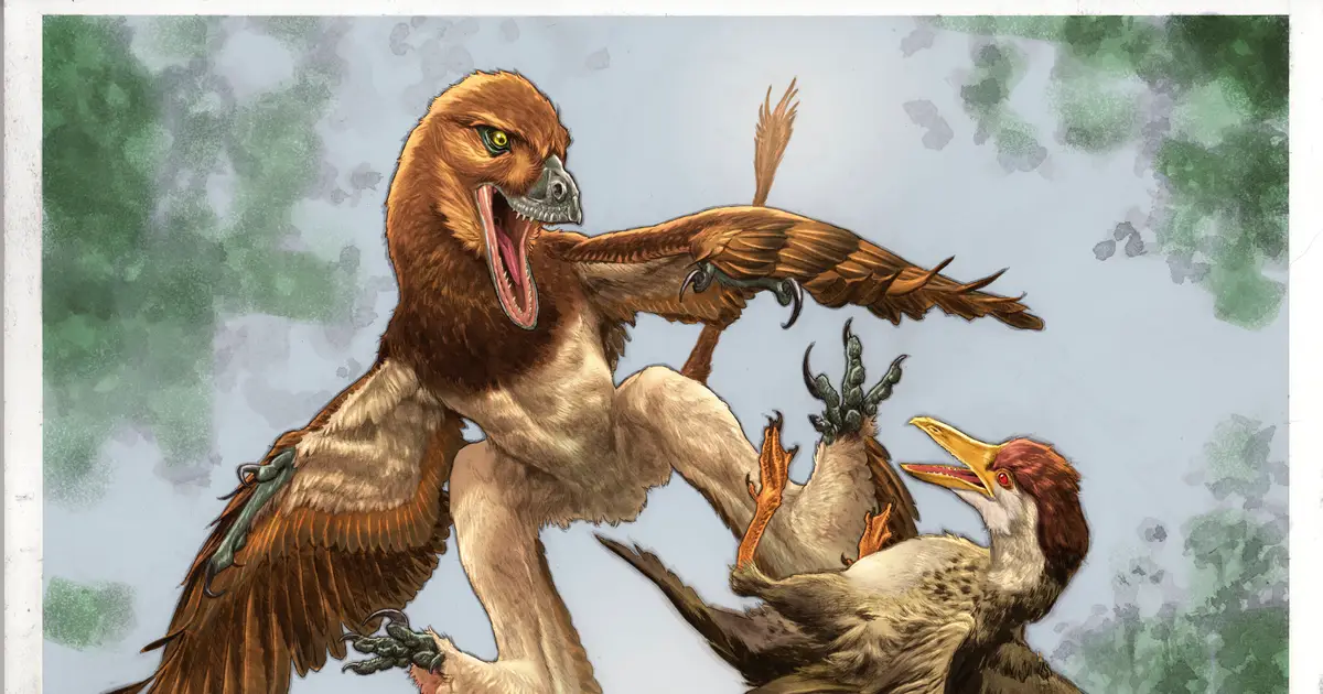 Newfound velociraptor cousin probably glided on four 'wings' and hunted early birds