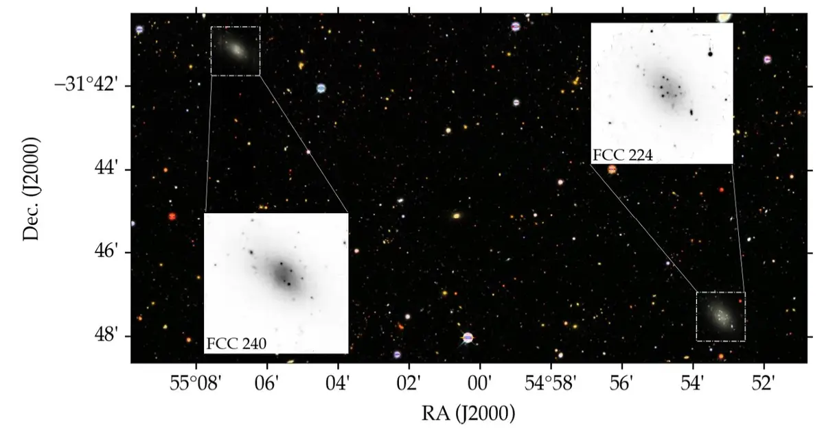 Possible dark matter-deficient twins discovered in the Fornax Cluster