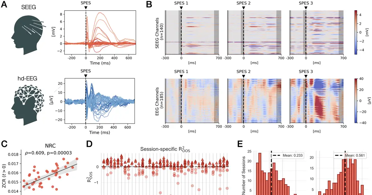 Whole-brain activity may better predict variations in stimulation responses