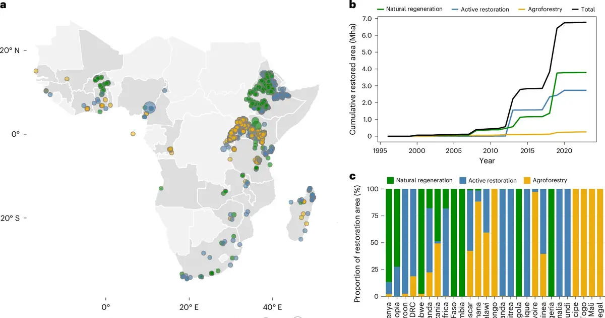 How African restoration projects spill over into surrounding landscapes