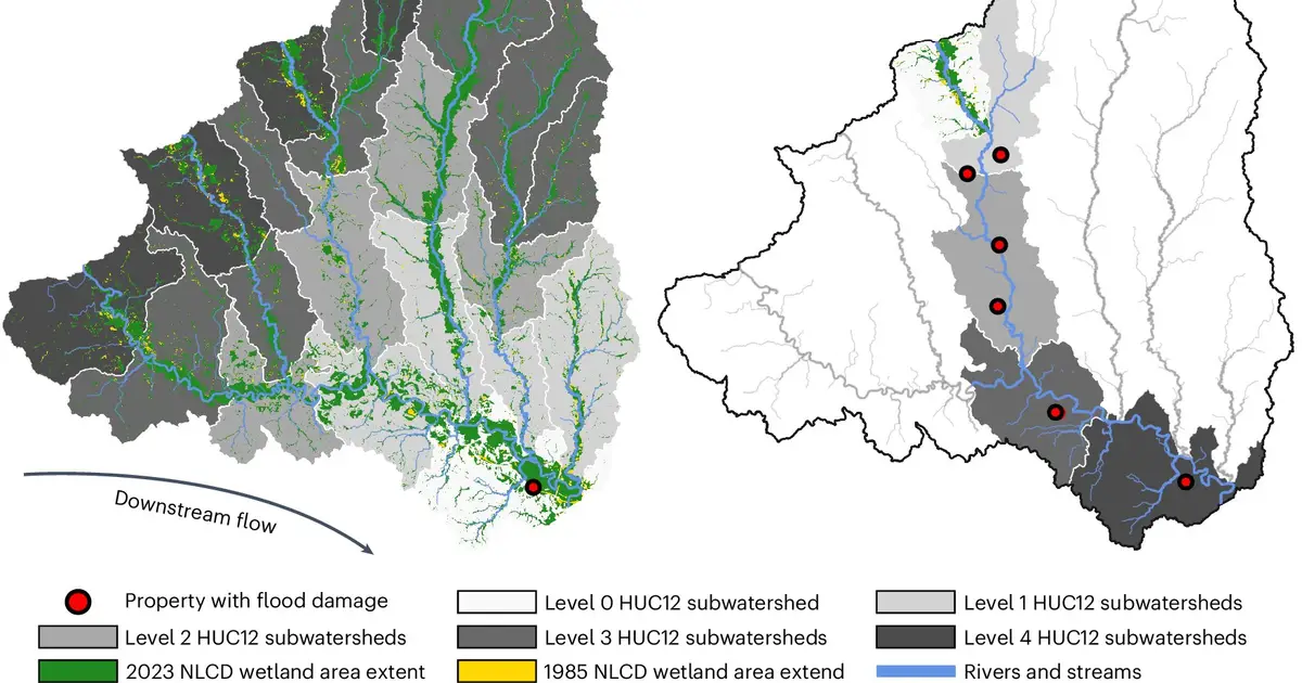Wetlands loss has increased residential flood insurance claim payments by $10 billion across the US, study finds
