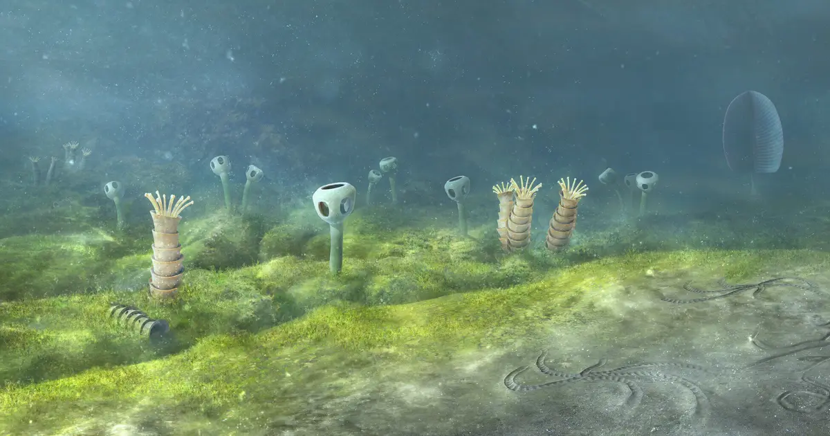 Animals may have evolved vastly earlier than fossil evidence suggests