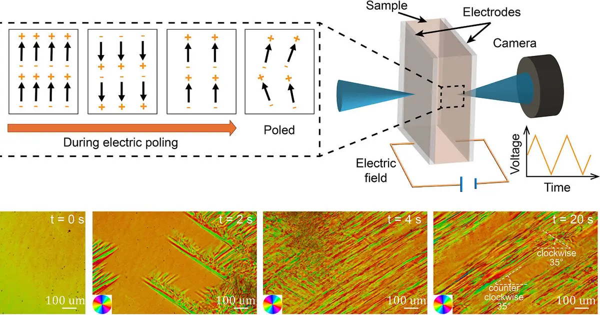 New imaging method reveals how electric fields reshape ferroelectric materials
