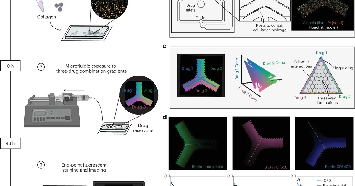 Lab-on-a-chip predicts which cancer treatments may work for pediatric acute lymphoblastic leukemia