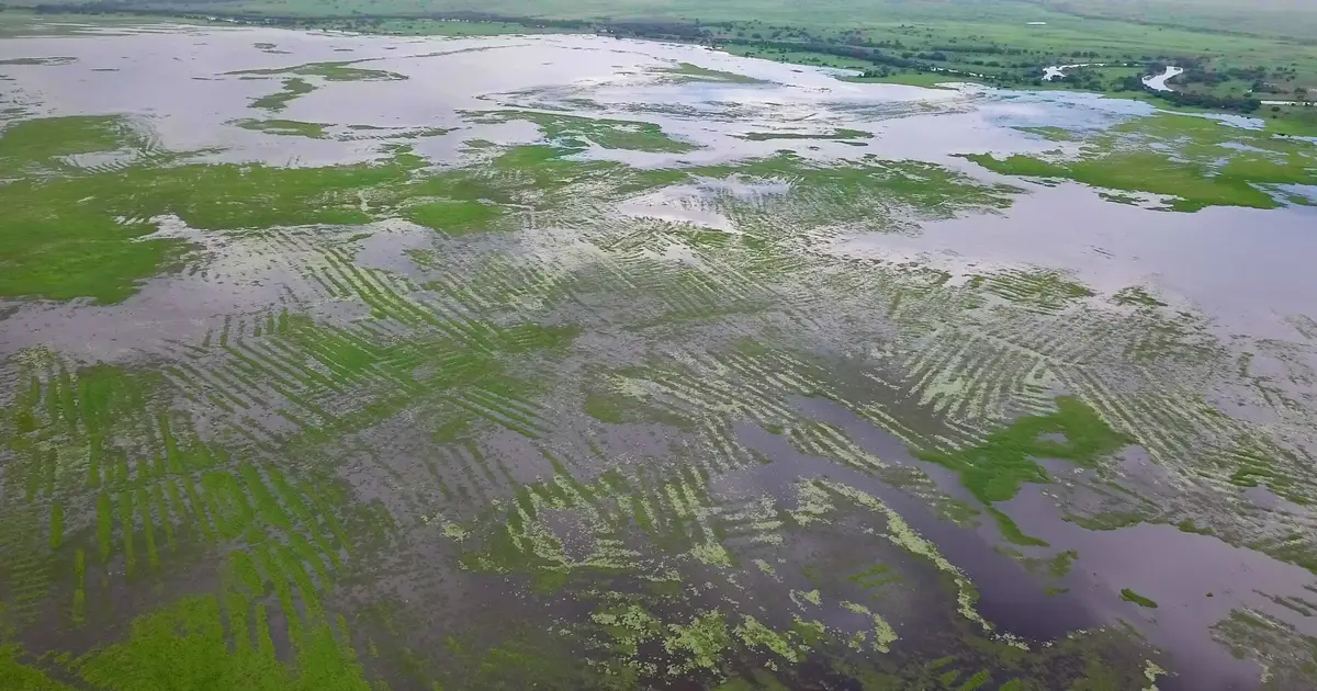 Ancient Colombians built huge water system without centralized rule, archaeologists say