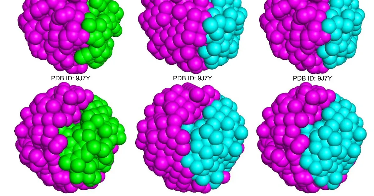 Novel generative AI model enables atomic-scale prediction of protein-protein interactions
