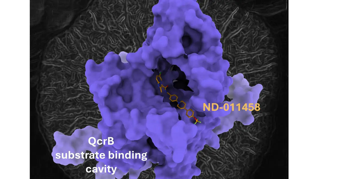 Energy production, virus defenses and toxin loading emerge as vulnerabilities in resistant bacteria