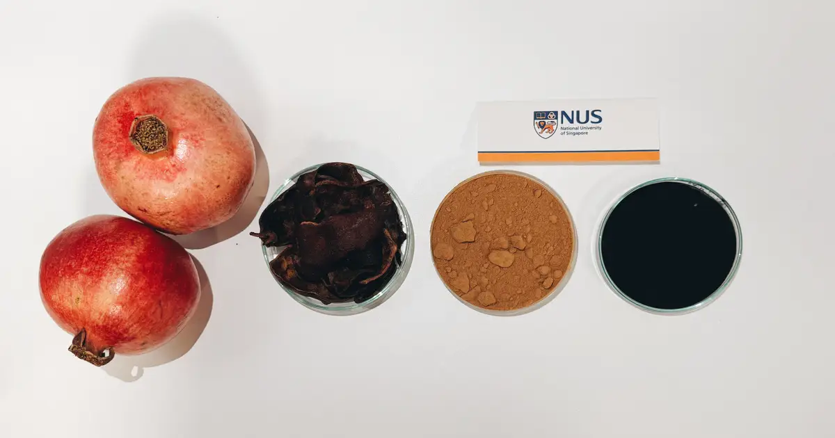 Researchers upcycle pomegranate peel into high-performance water purifier