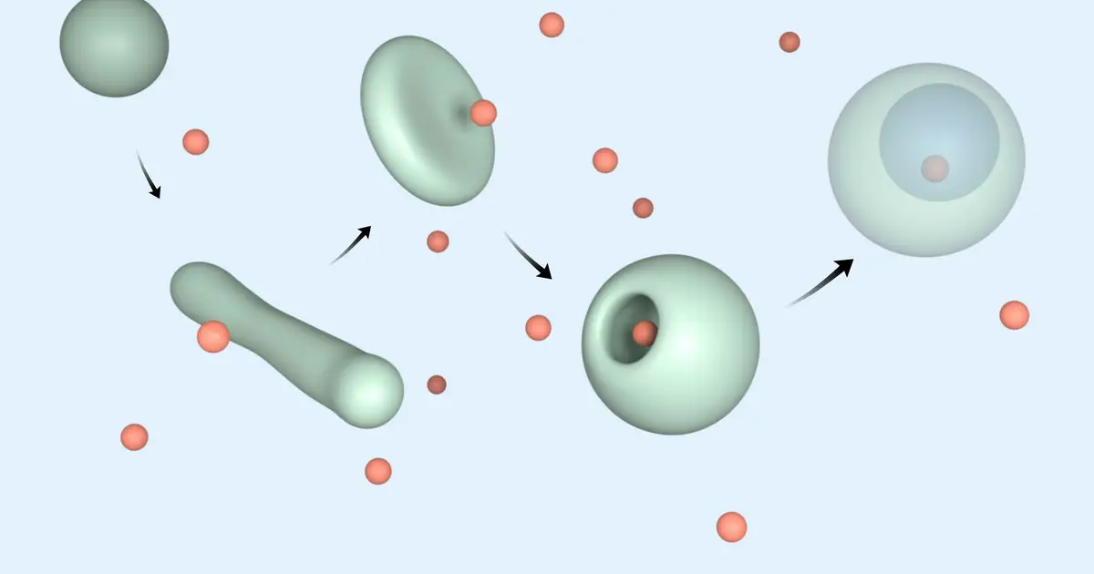 Oil droplets remodel themselves, swallow their surroundings like living cells