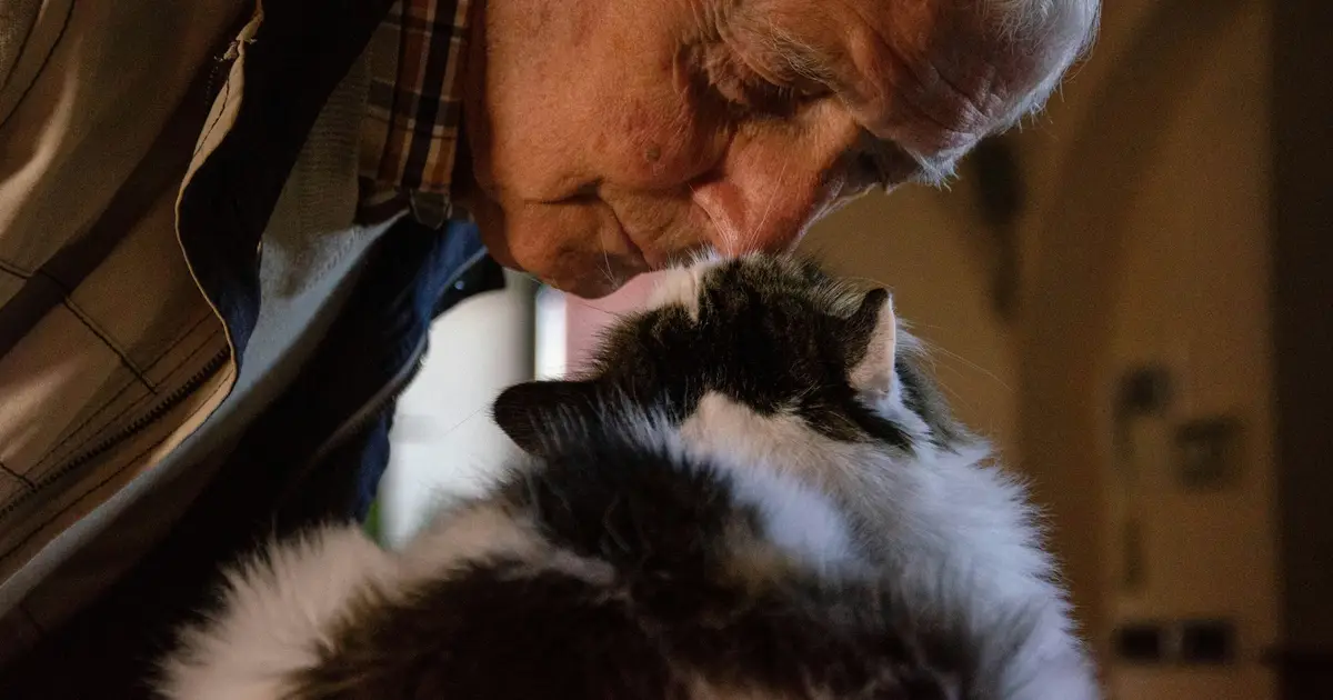 Views from a physician and veterinarian: How to improve barriers to pet care when owners are hospitalized
