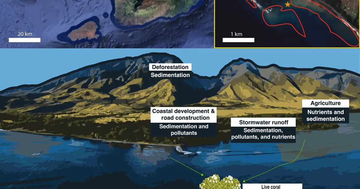 Olowalu reef off Maui provides glimpse into two centuries of environmental changes