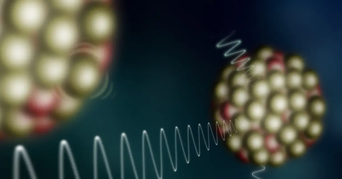 Single fission experiment maps excess gamma rays from more than a dozen unstable nuclei