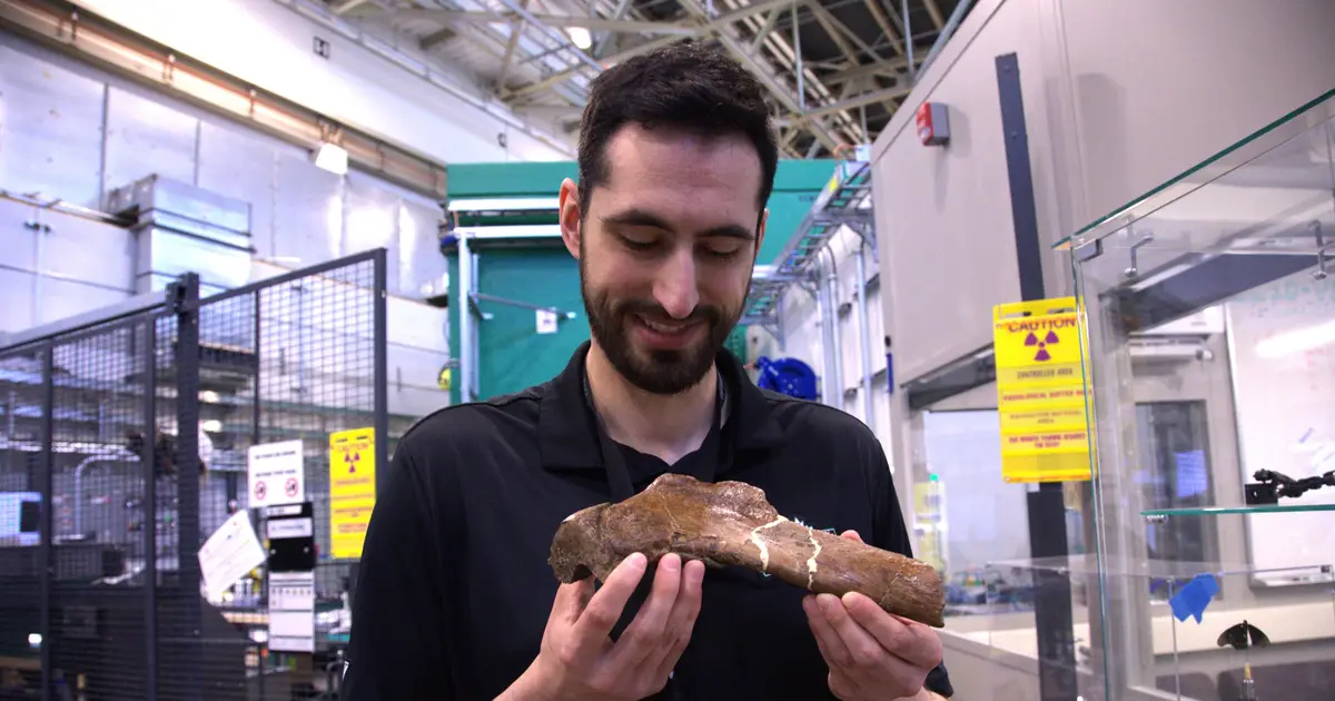 Neutron bone imaging brings T. rex to life