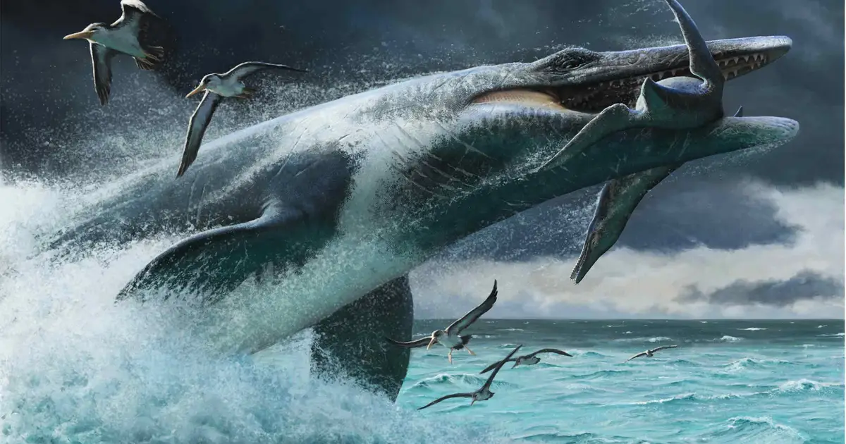 Flexible tails could boost ancient sea predators' ambush speeds, fossil-based models suggest
