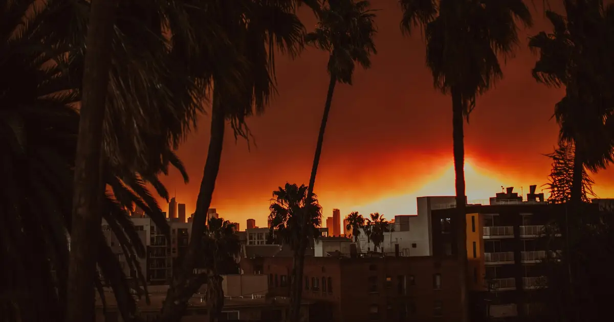 Burned-home soils showed uneven lead, arsenic contamination after Los Angeles wildfires