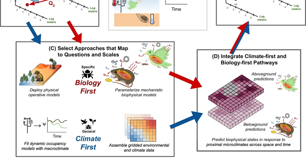 Paper calls for biologists to rethink how they analyze the impact of climate