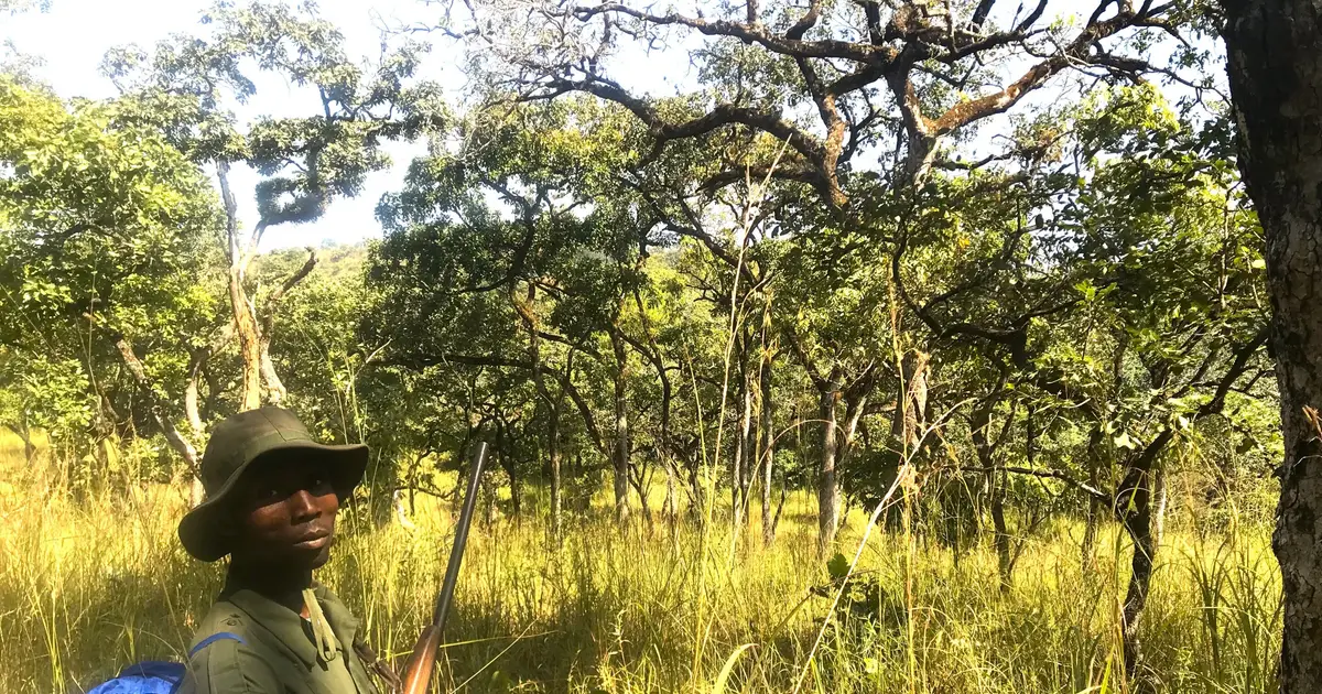 Park rangers and residents speak up to save Togo's last national park