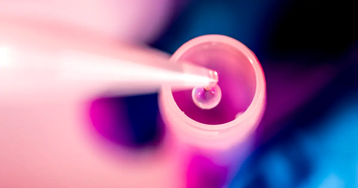PFAS may raise blood pressure during pregnancy. Who is at risk?