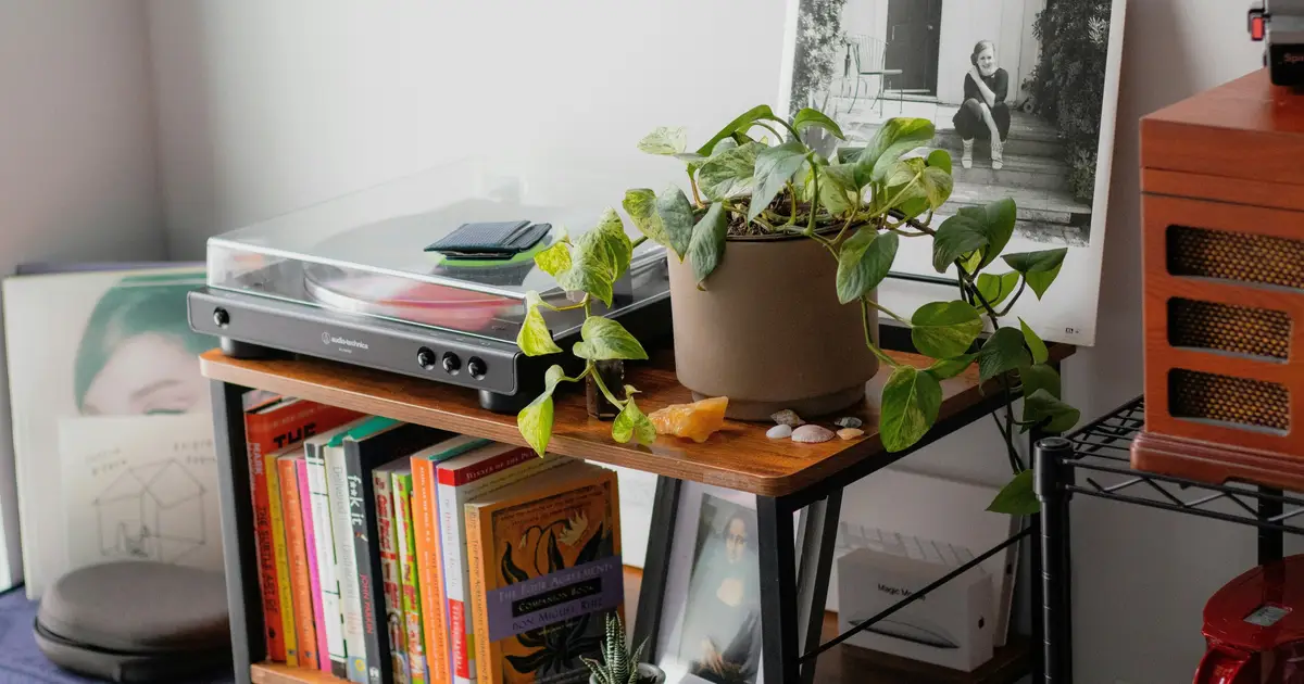 Curious kids: Does music affect how plants grow?