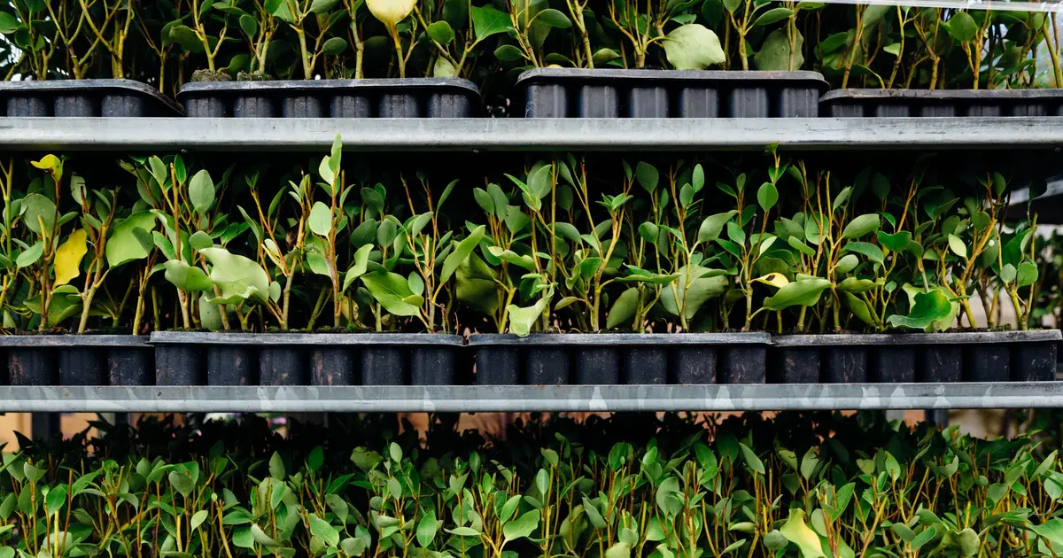 Time to tap into agriculture's hidden genetic potential