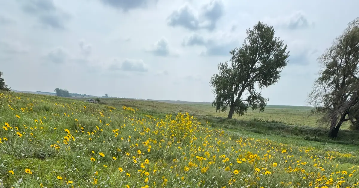 Plants, people and progress for native prairie seeds