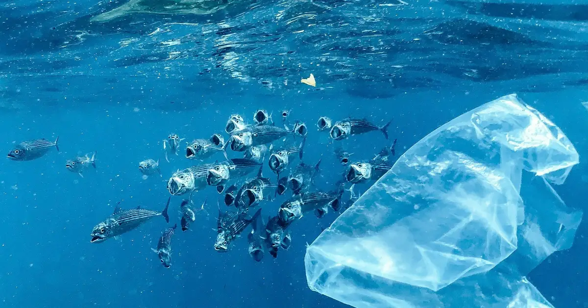 Microplastics reach even 2,000 meters below the ocean surface, study finds