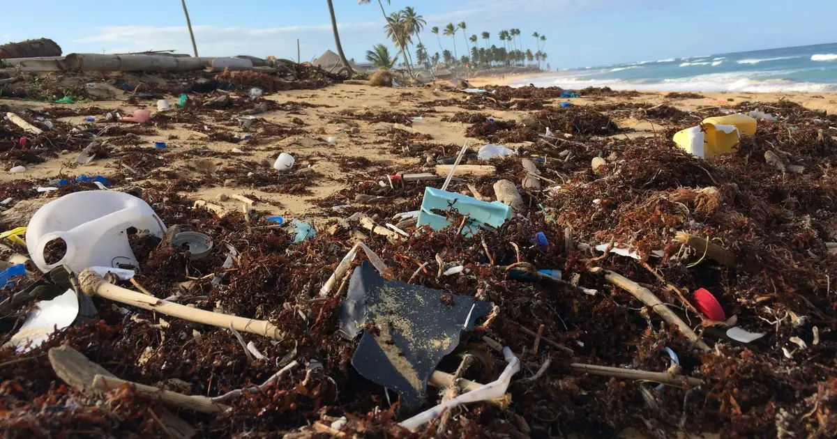 Want a solution to plastic pollution? Scientists urge UN to require global reporting