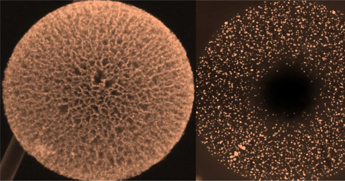 Carbon nanostructure improves fuel-cell catalyst durability while reducing platinum use