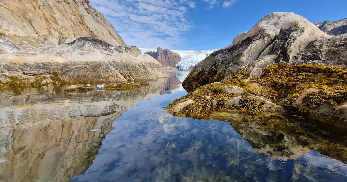 Polar oceans store carbon—but policy is not yet ready to count it