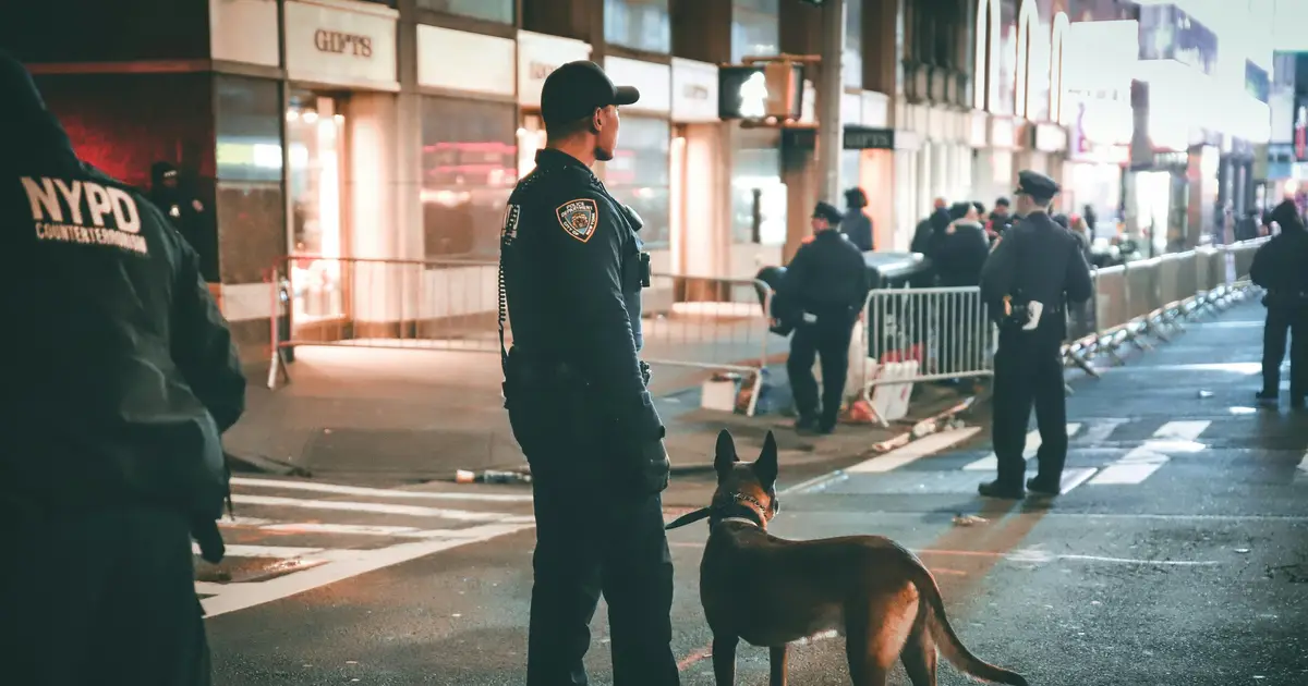 Dogs support police officers with PTSD
