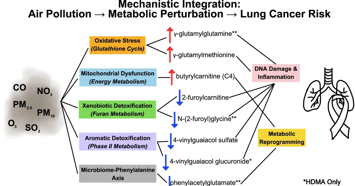 Air pollution-linked blood changes detected years before lung cancer diagnosis