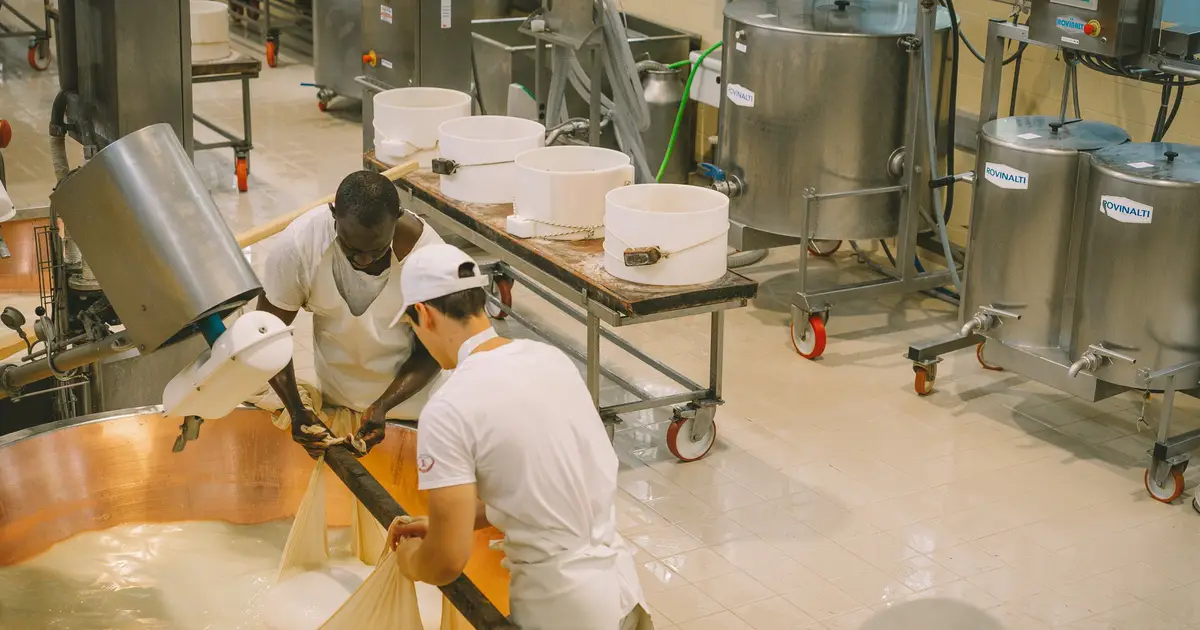 Consumers need clearer answers before they can trust precision fermentation, new report finds