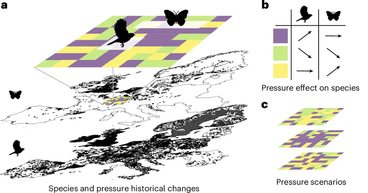 Even biodiversity-friendly policies may not halt declines in Europe's common birds and butterflies by 2050