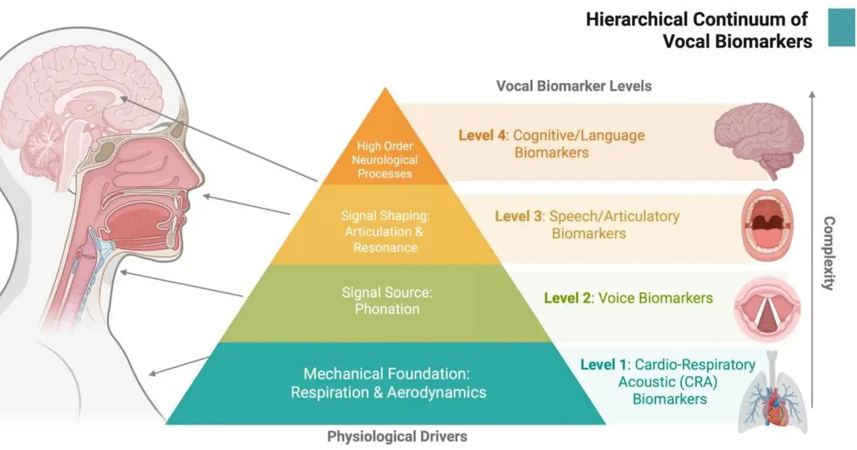 Predicting disease through voice recordings and AI: Experts establish standards for vocal biomarkers