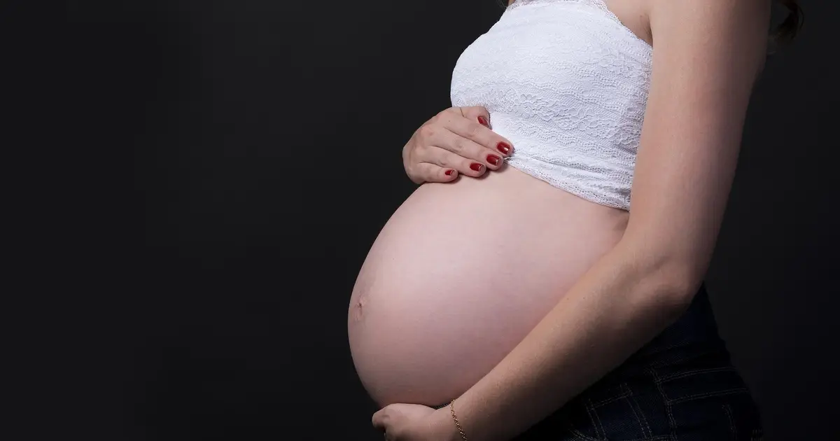 Like Zika, Oropouche virus can also affect the brains of unborn babies