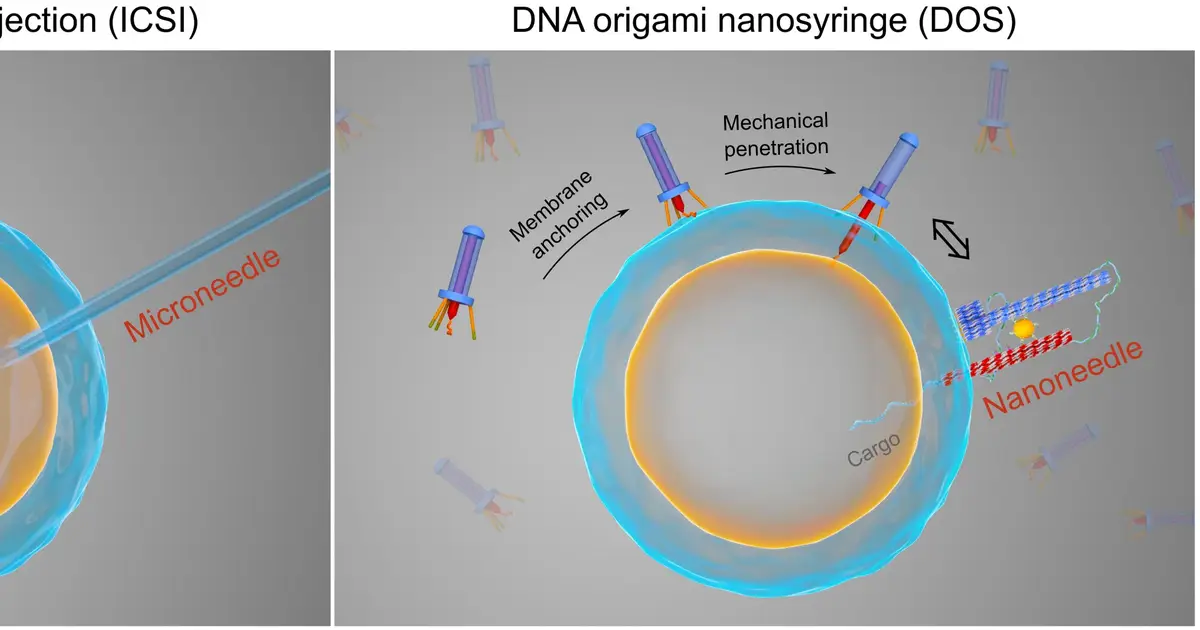 DNA origami nanosyringe actively transports molecules into synthetic cells