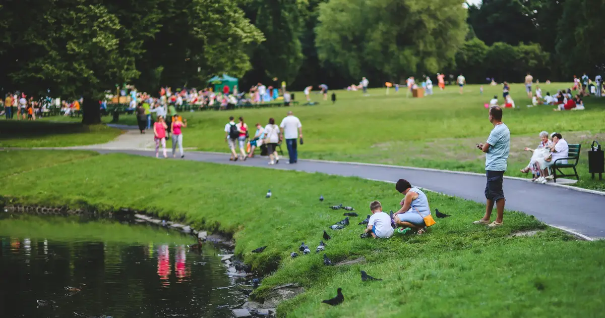 How public safety can influence public health