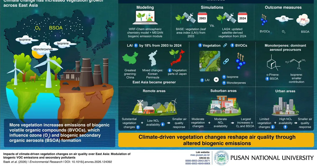 Study finds climate-driven greening is reshaping East Asia's air pollution