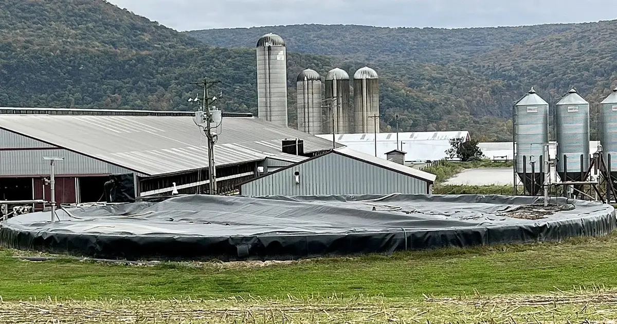 Q&A: How anaerobic digestion can help reduce emissions and increase income streams