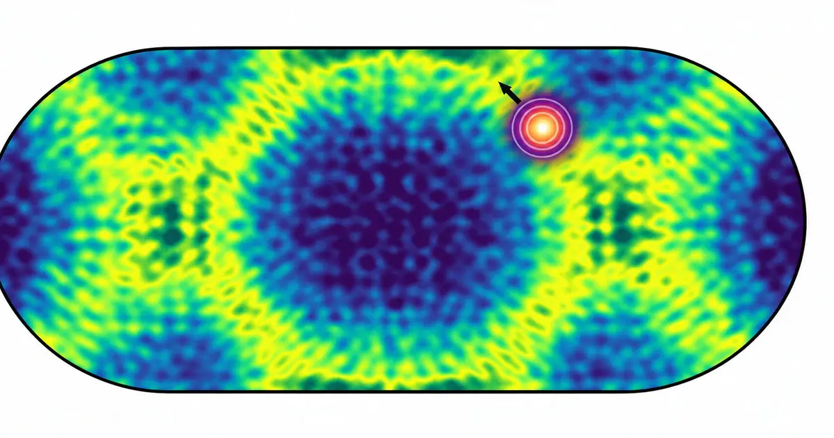 Quantum 'birthmarks' hold lasting traces of a system's past