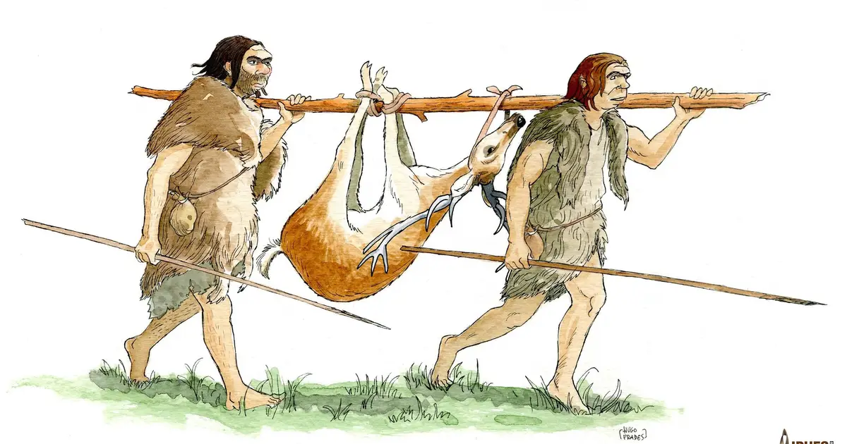 Rare traces of wooden tools reveal Neanderthals were skilled woodworkers